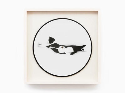 Sophie Calle - Souris Calle (Edition de luxe)