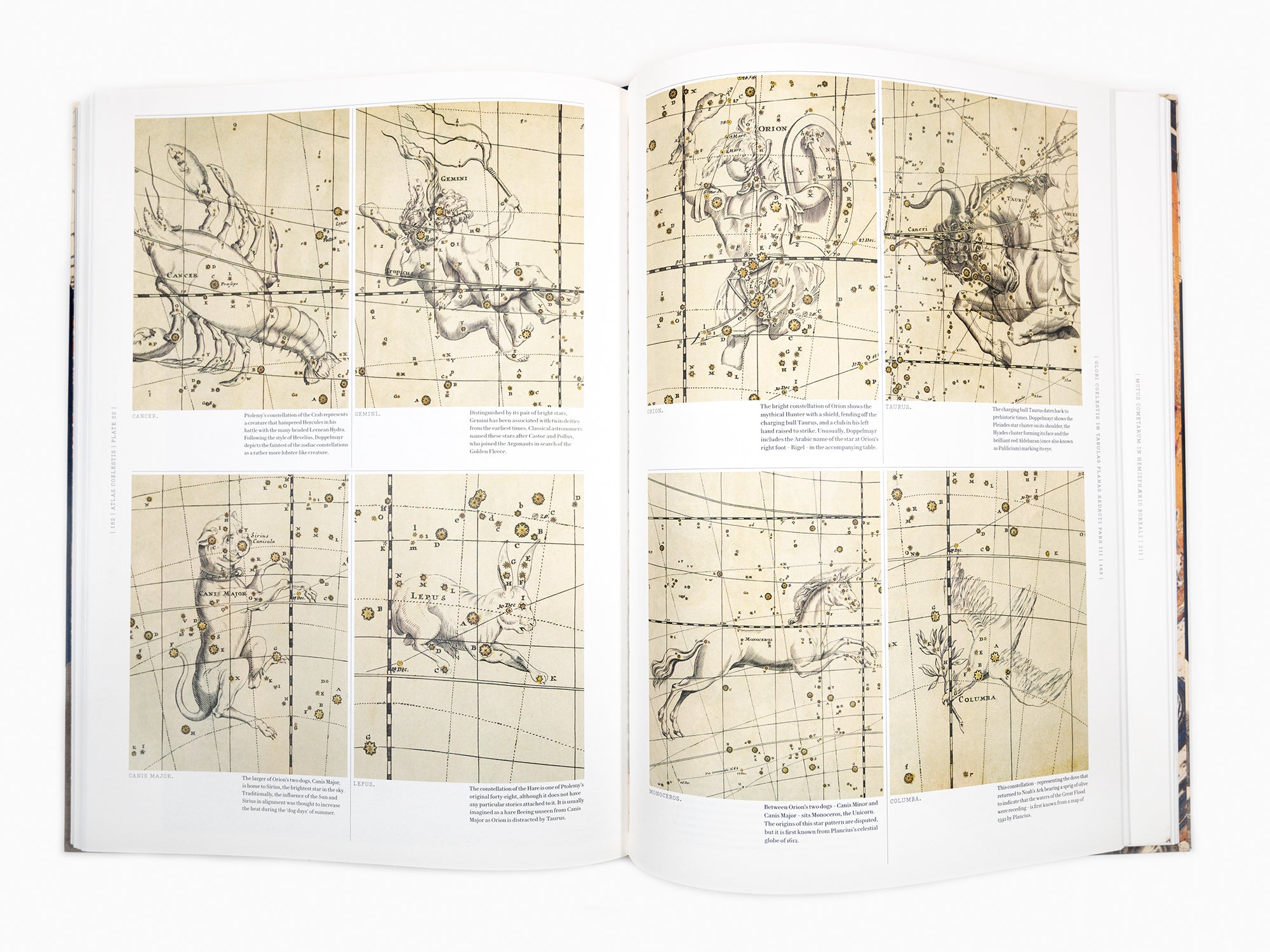 PHÆNOMENA - L'Atlas céleste de Doppelmayr