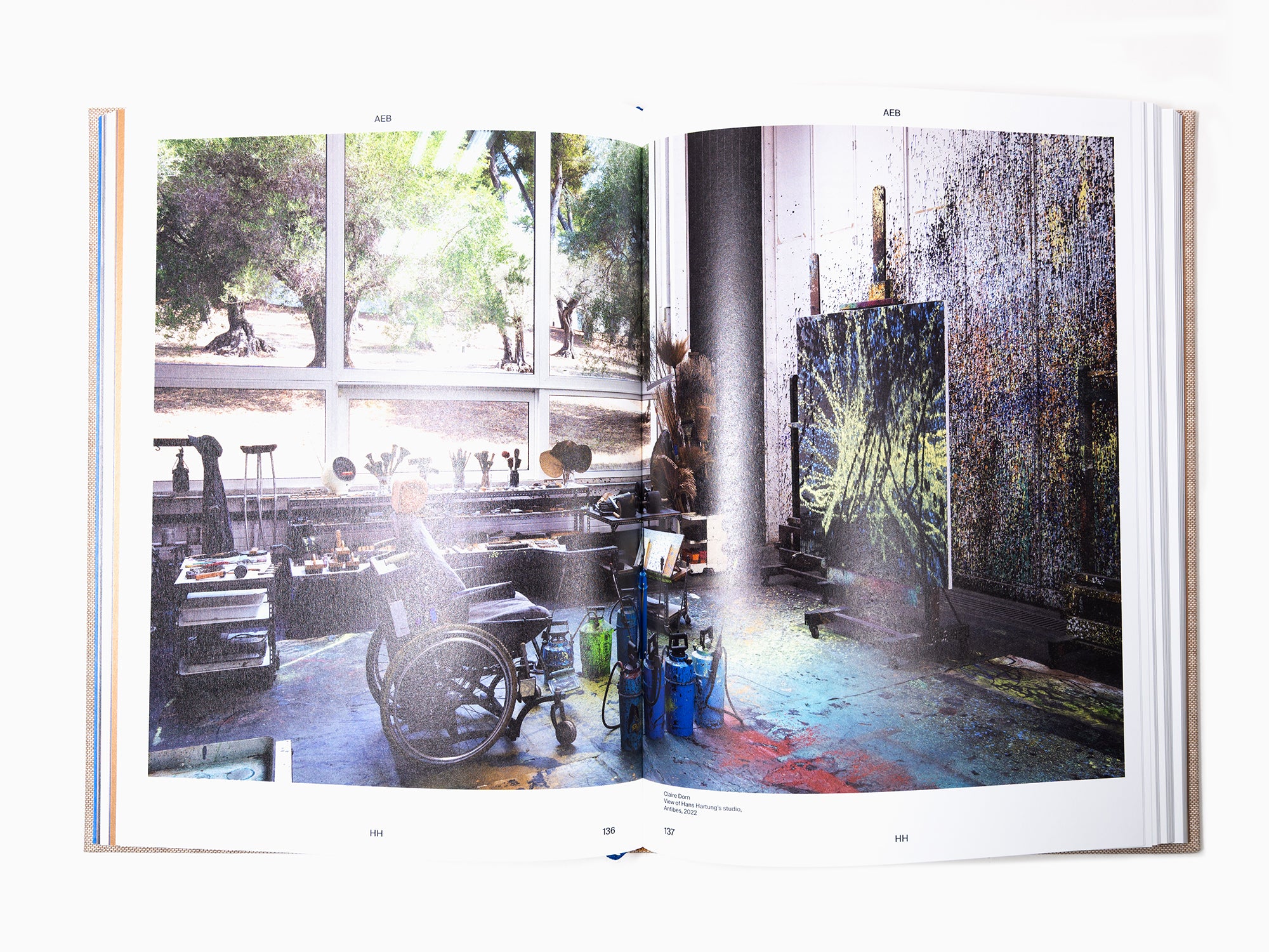 Anna-Eva Bergman & Hans Hartung - Et nous ne serons jamais séparés