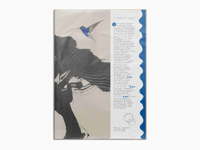 Une Histoire au Mur - Aurore de la Morinerie