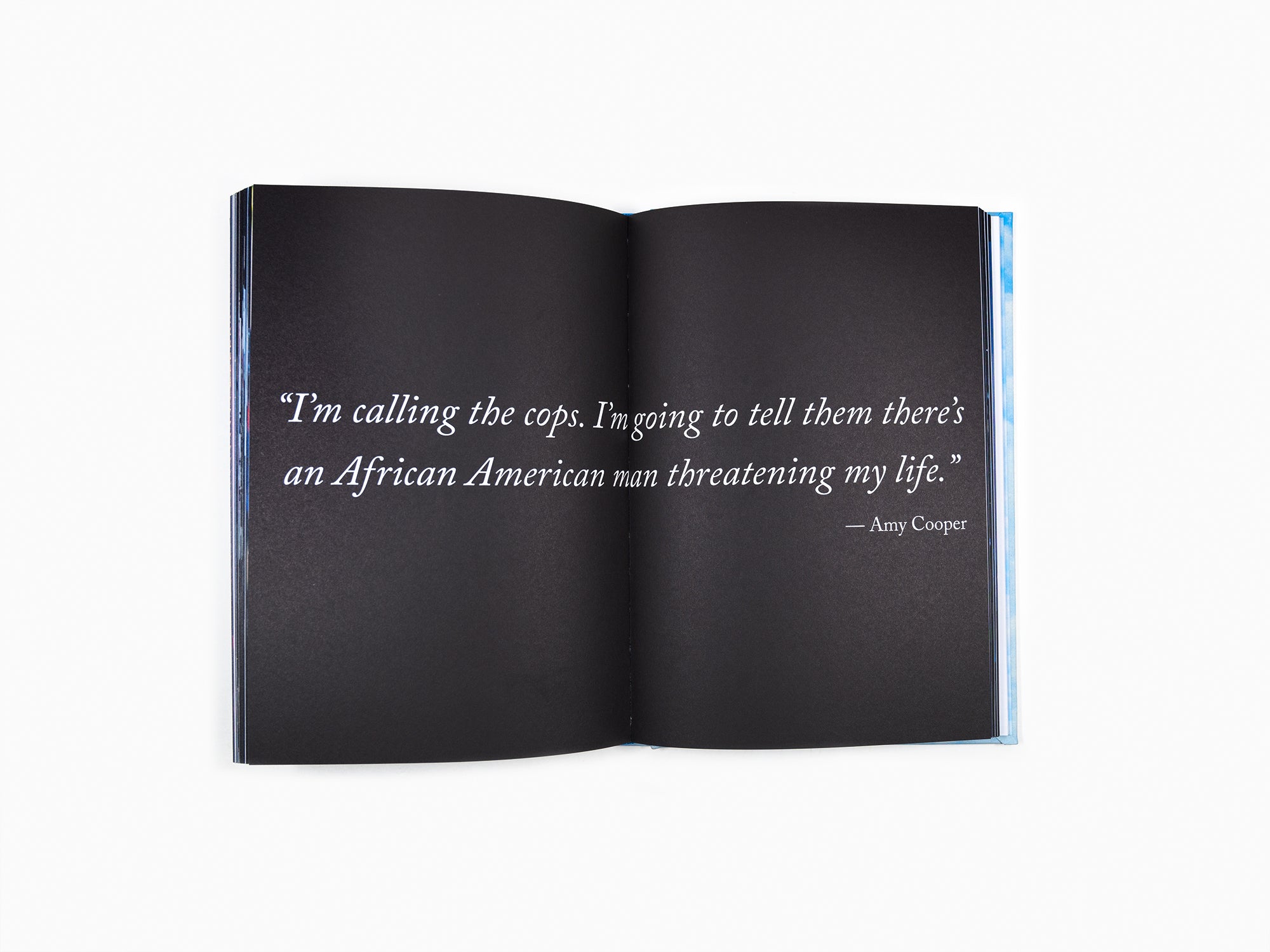 Carrie Mae Weems - La forme des choses