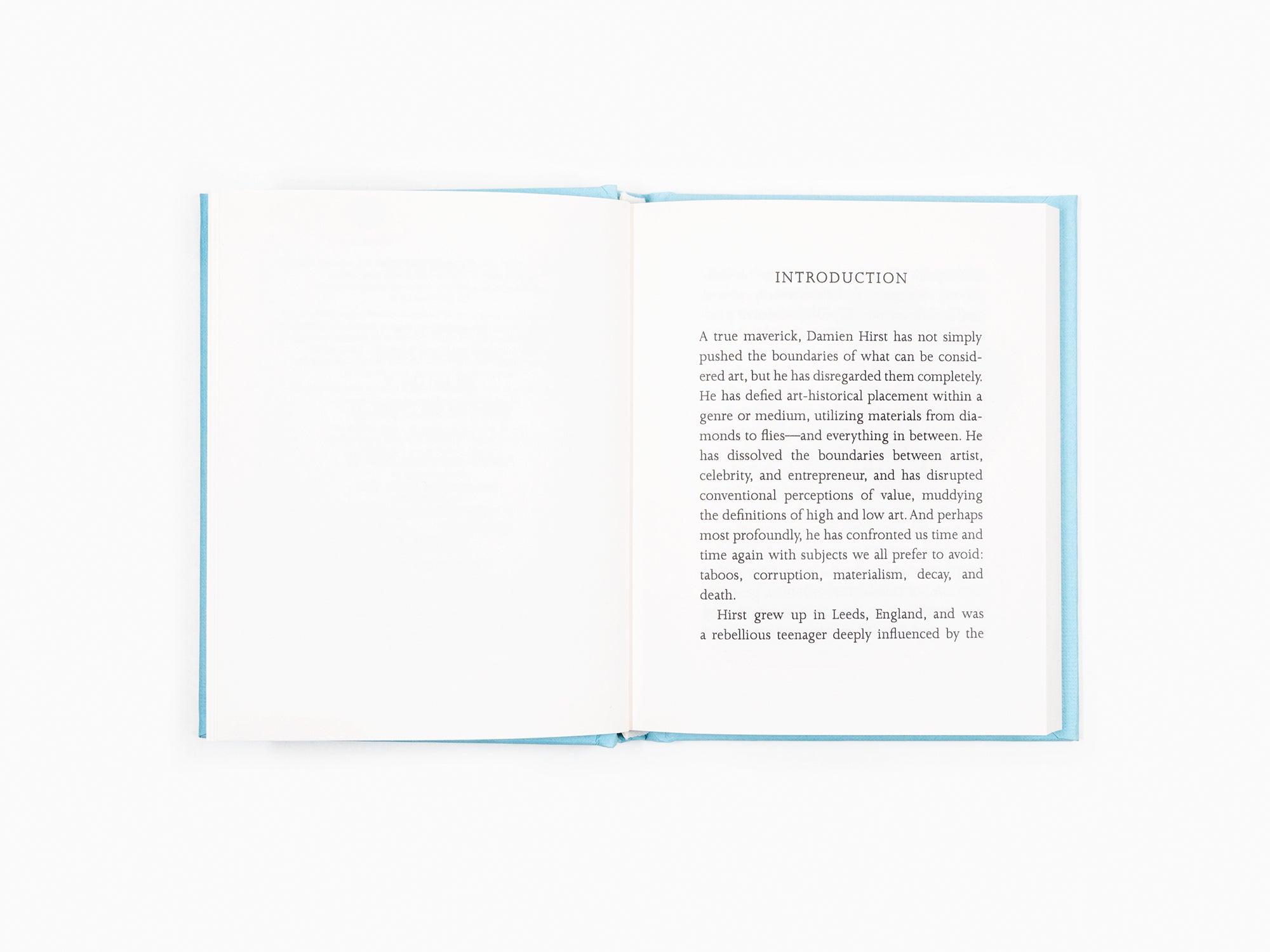 Damien Hirst - Hirst-ismes