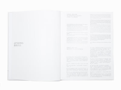 Daniel Arsham - Perrotin monographie (2)