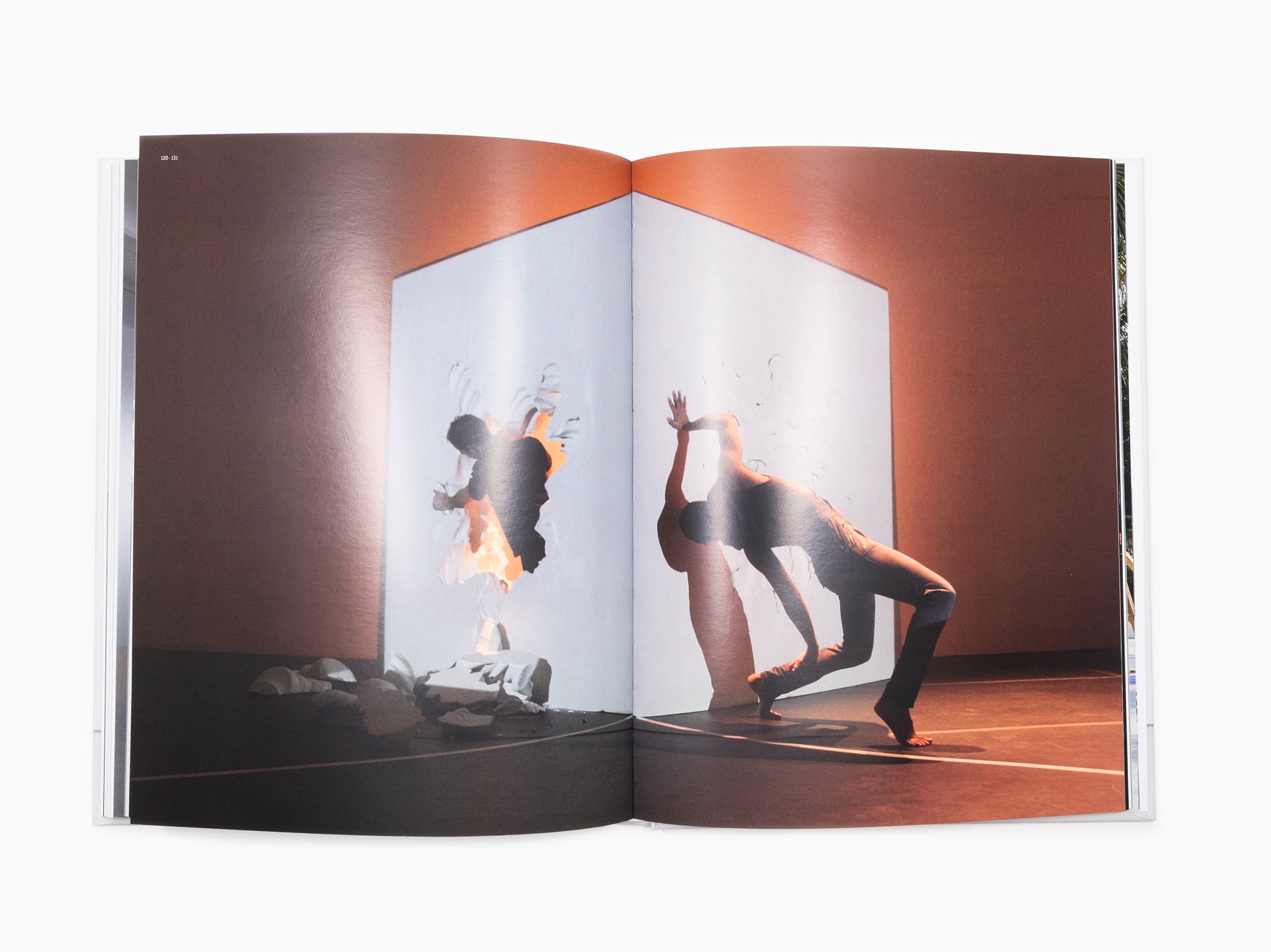 Daniel Arsham - Perrotin monographie (2)