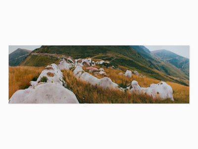 Gelitin - Hase, 2014