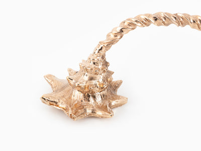 Jean-Marie Appriou - Coquille de soleil