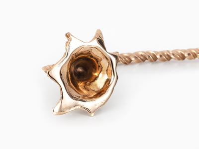 Jean-Marie Appriou - Coquille de soleil