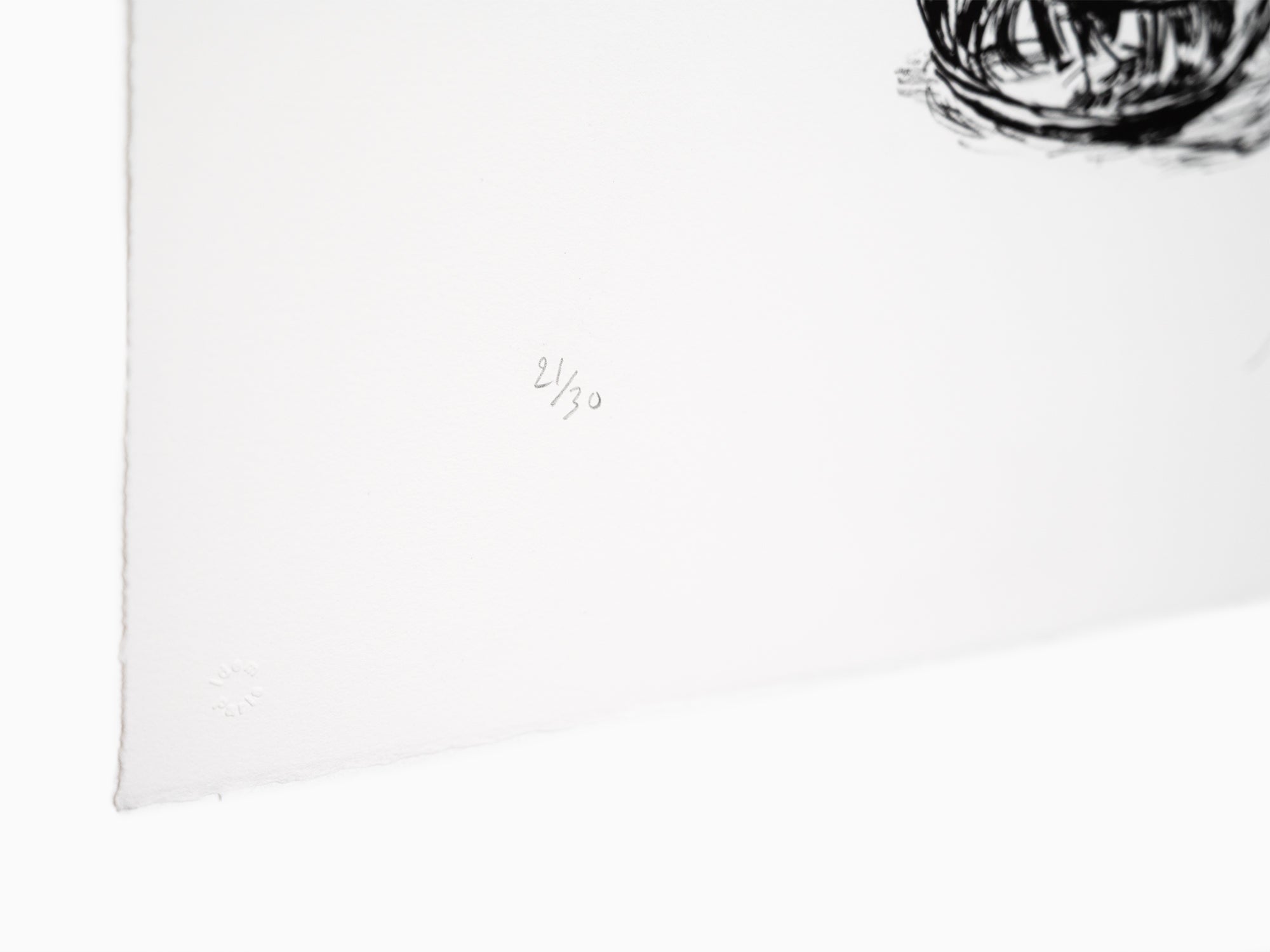 Jean-Philippe Delhomme - Fleurs fanées