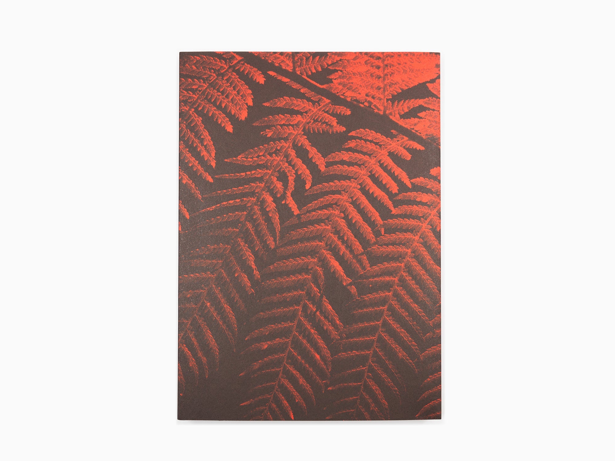 Julian Charrière - Brûlure contrôlée