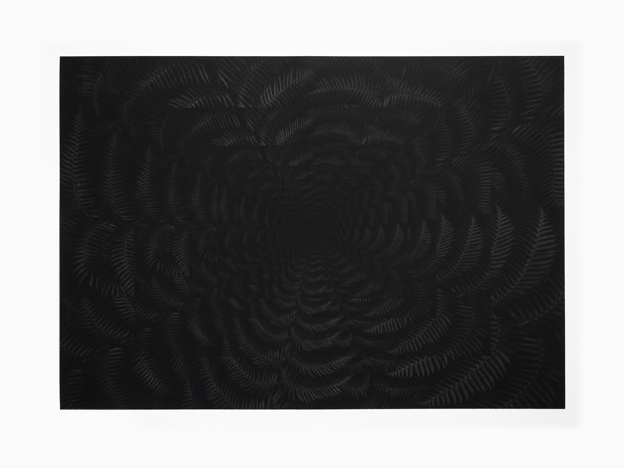 Julian Charrière - Dicksonia Antarctica (édition)