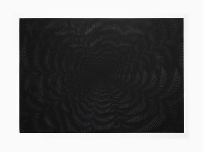 Julian Charrière - Dicksonia Antarctica (édition)