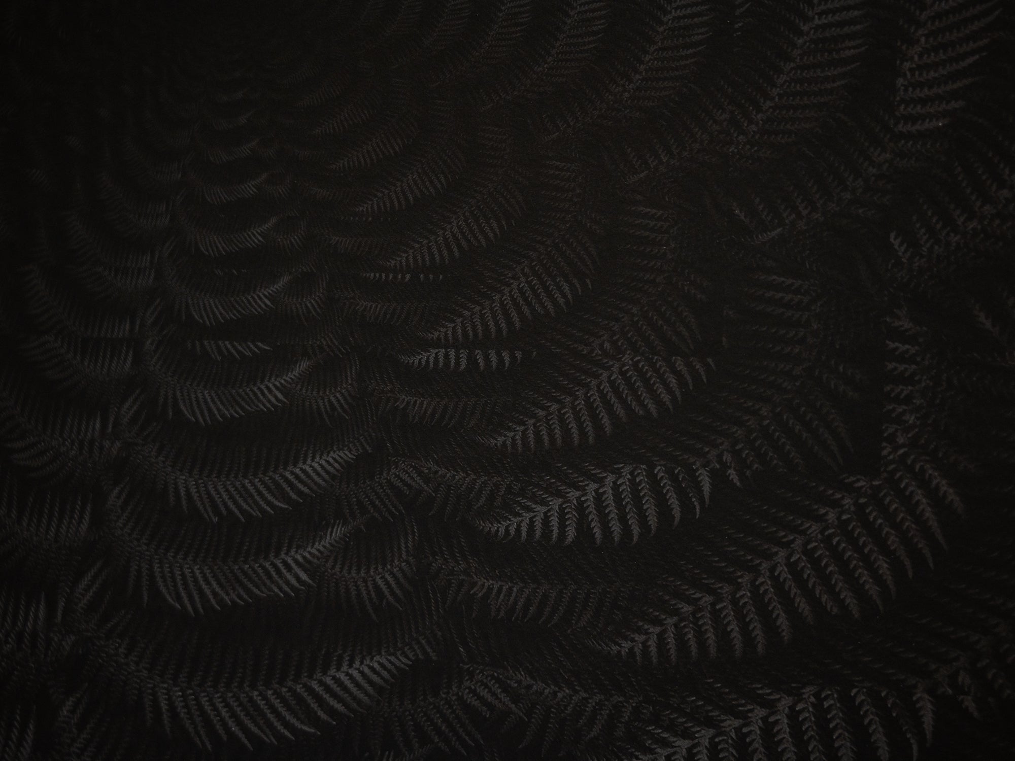 Julian Charrière - Dicksonia Antarctica (édition)