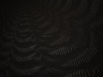 Julian Charrière - Dicksonia Antarctica (édition)