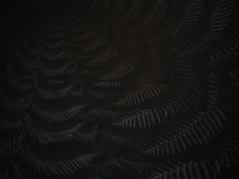 Julian Charrière - Dicksonia Antarctica (édition)