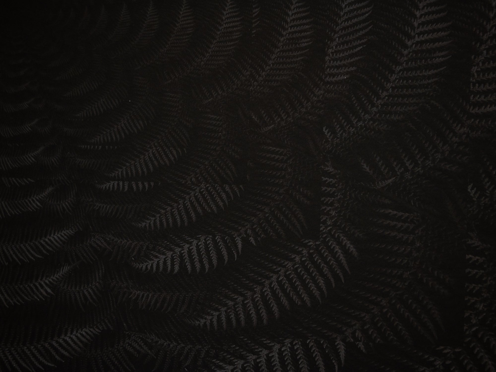 Julian Charrière - Dicksonia Antarctica (édition)