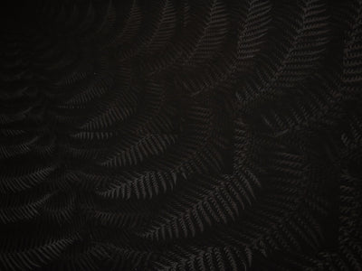 Julian Charrière - Dicksonia Antarctica (édition)