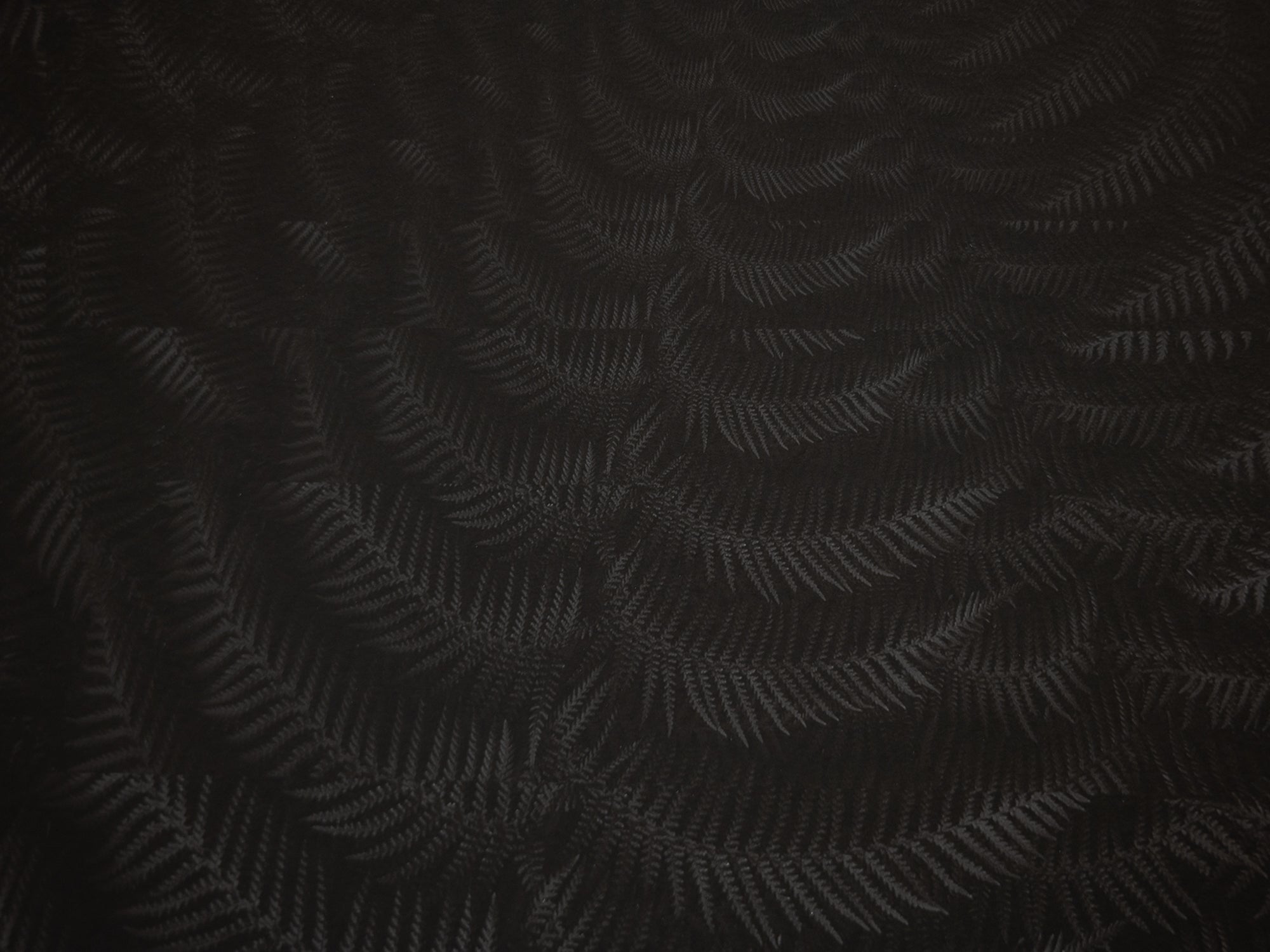 Julian Charrière - Dicksonia Antarctica (édition)