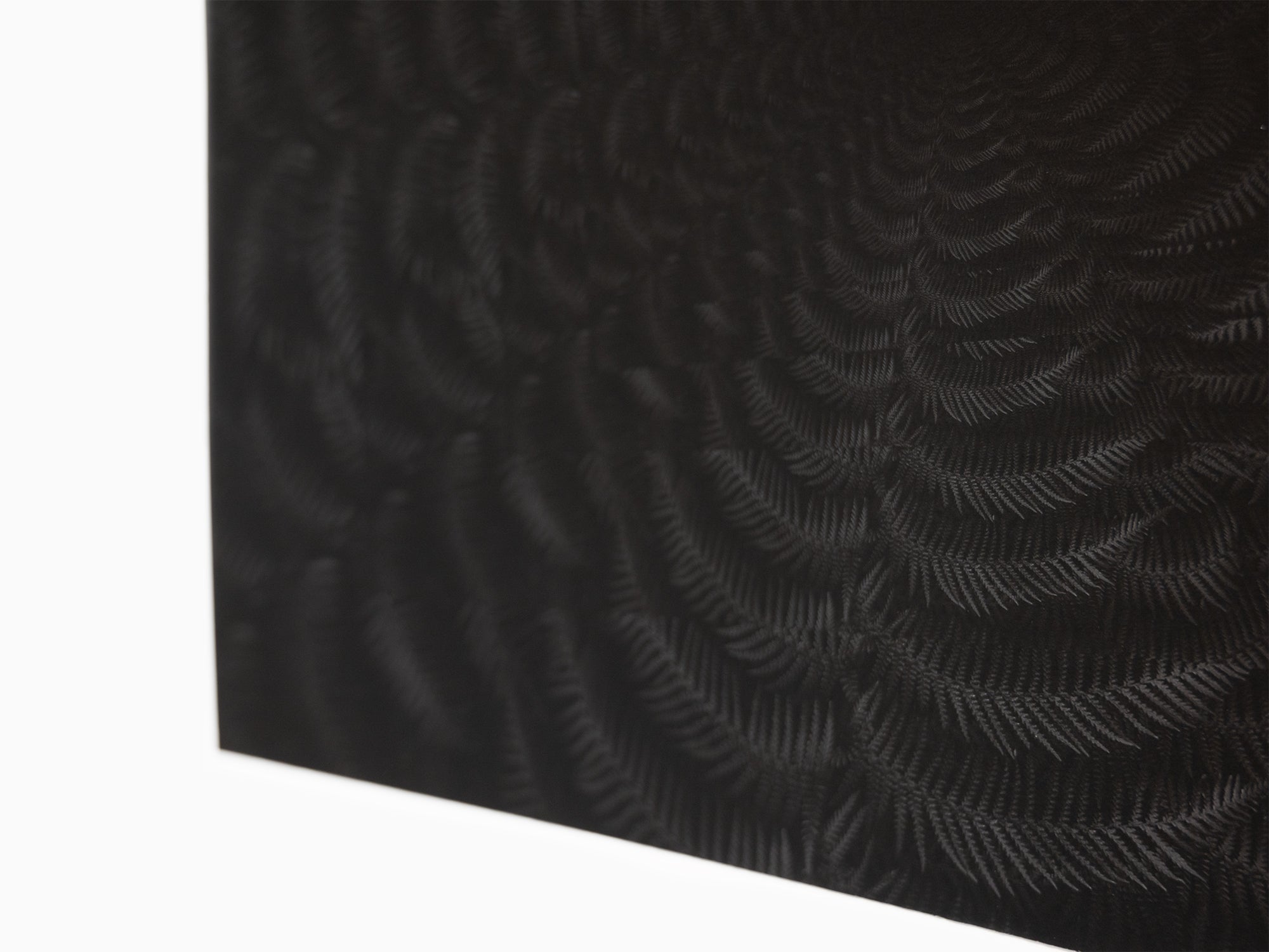 Julian Charrière - Dicksonia Antarctica (édition)