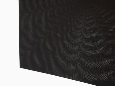 Julian Charrière - Dicksonia Antarctica (édition)