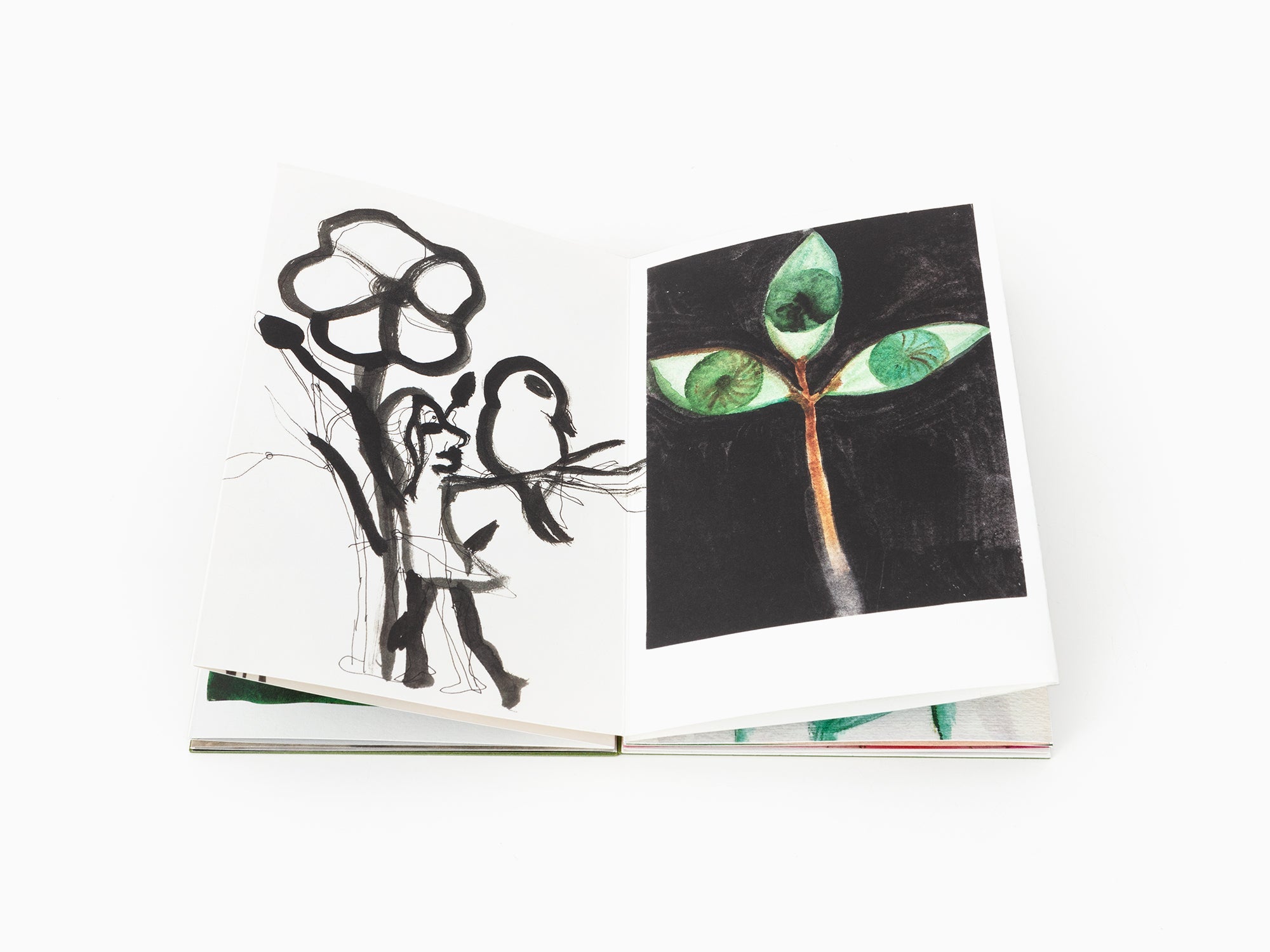 Klara Kristalova - "Bêtes et plantes au 21ème siècle" Leporello