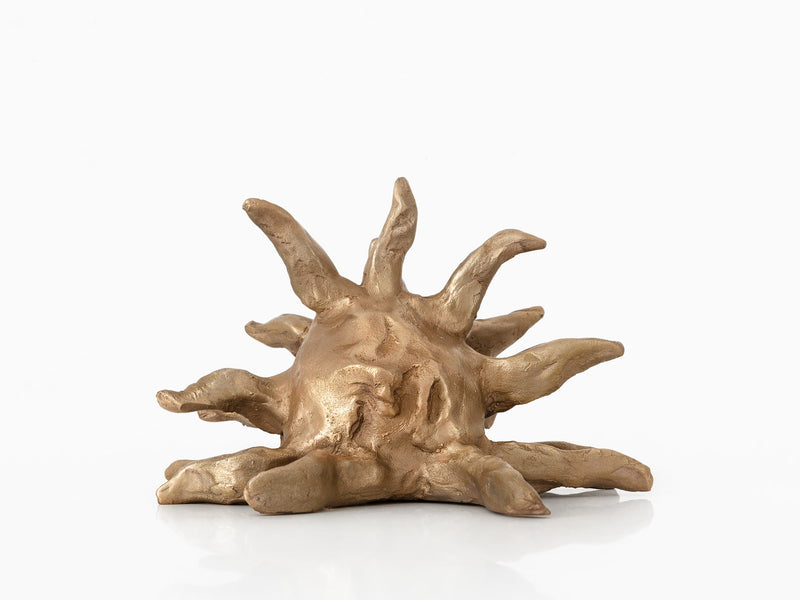 Klara Kristalova - Soleil couchant