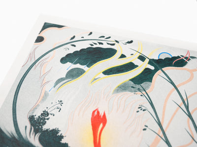 Koak - Paysage californien #3