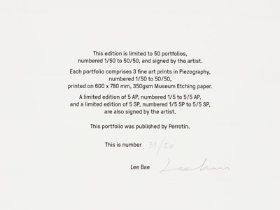Lee Bae - Portfolio "Constellation