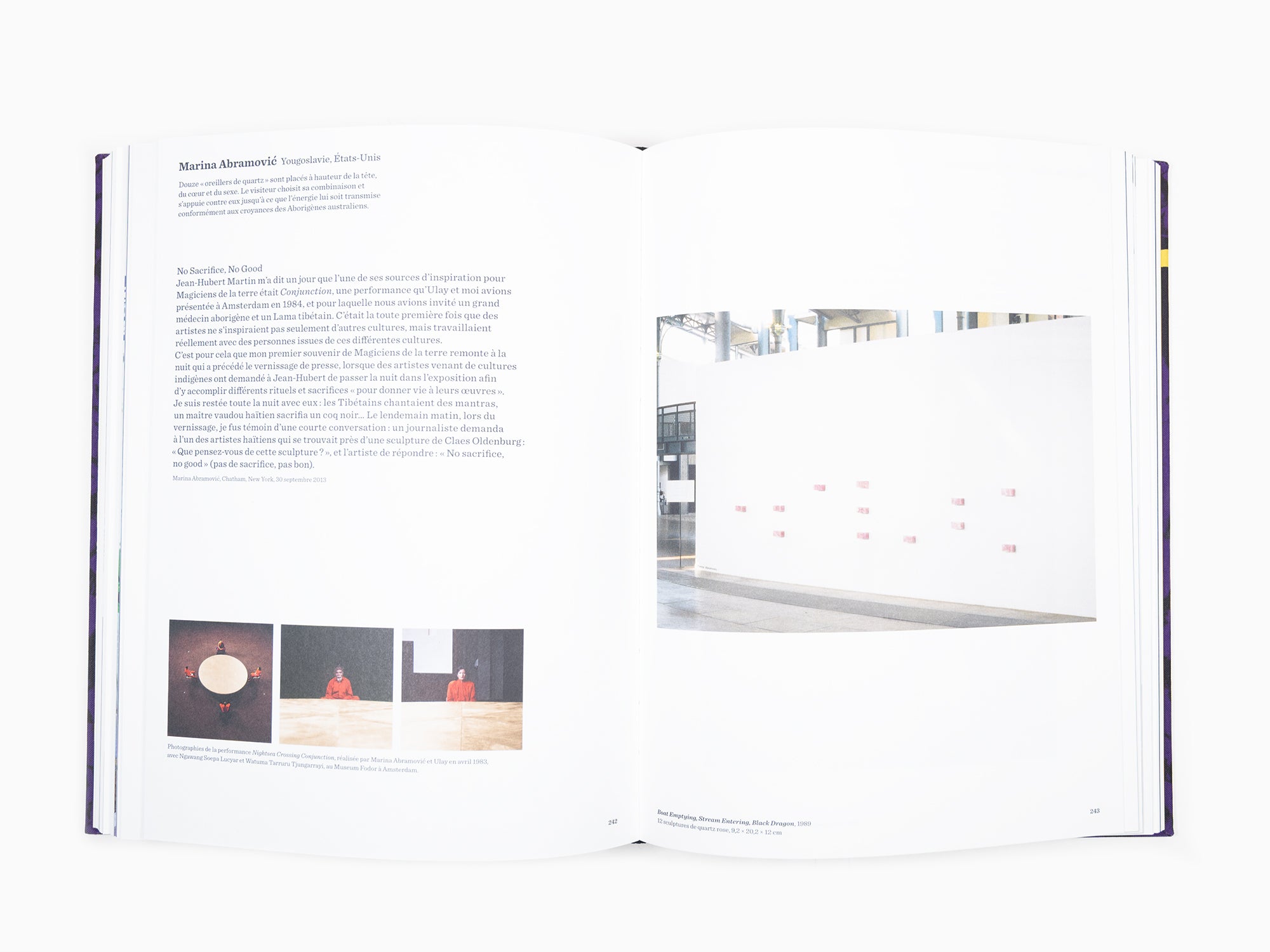 Magiciens de la terre - Retour sur une exposition legendaire