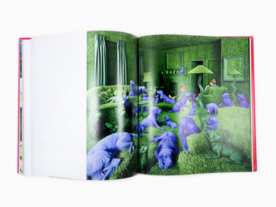 Maurizio Cattelan - Chromotherapia - Feel-Good Color Photography (Photographie en couleurs)