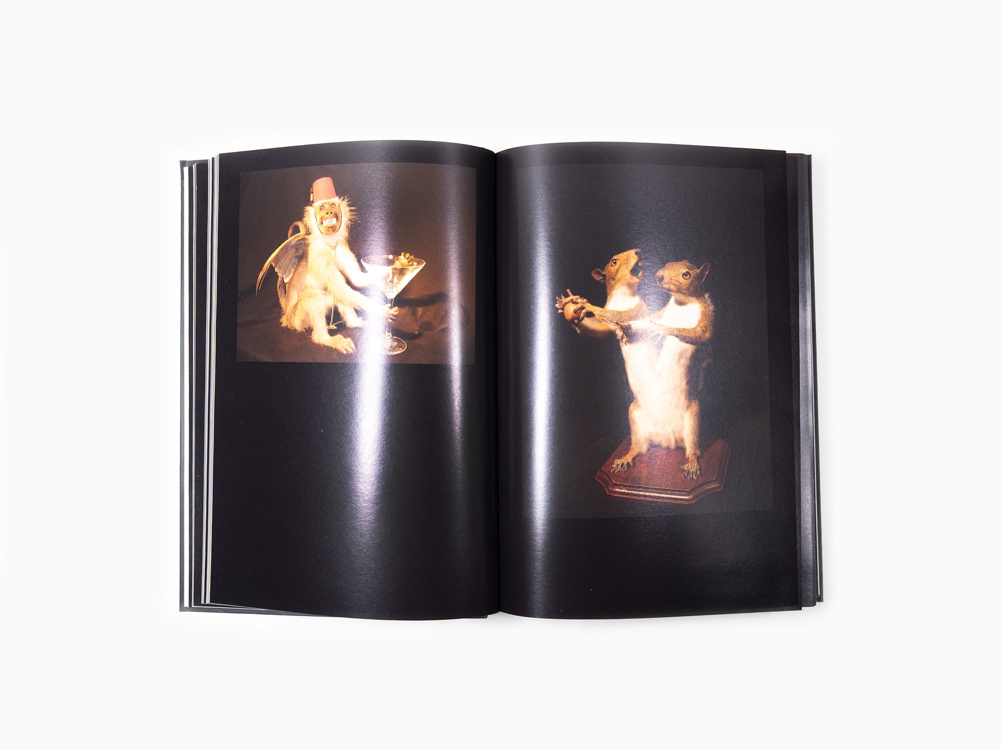 Maurizio Cattelan - Charley N°5