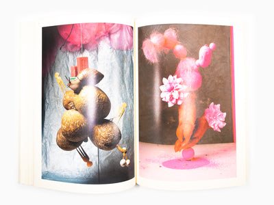 Maurizio Cattelan - Le Dictateur 04