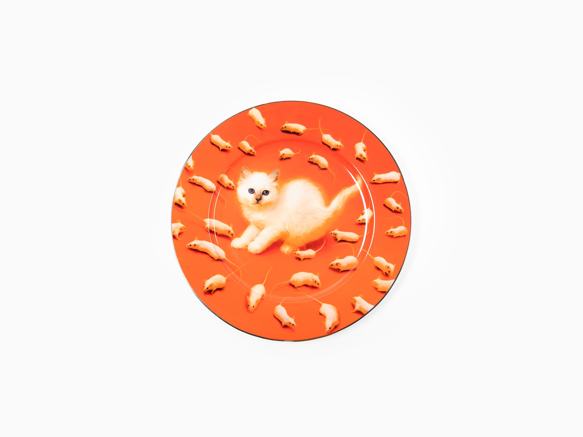 Seletti porte Toiletpaper - assiette en porcelaine bordure or Chaton