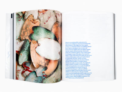 Sophie Calle / Jean-Paul Demoule - L'ascenseur réside dans le 501