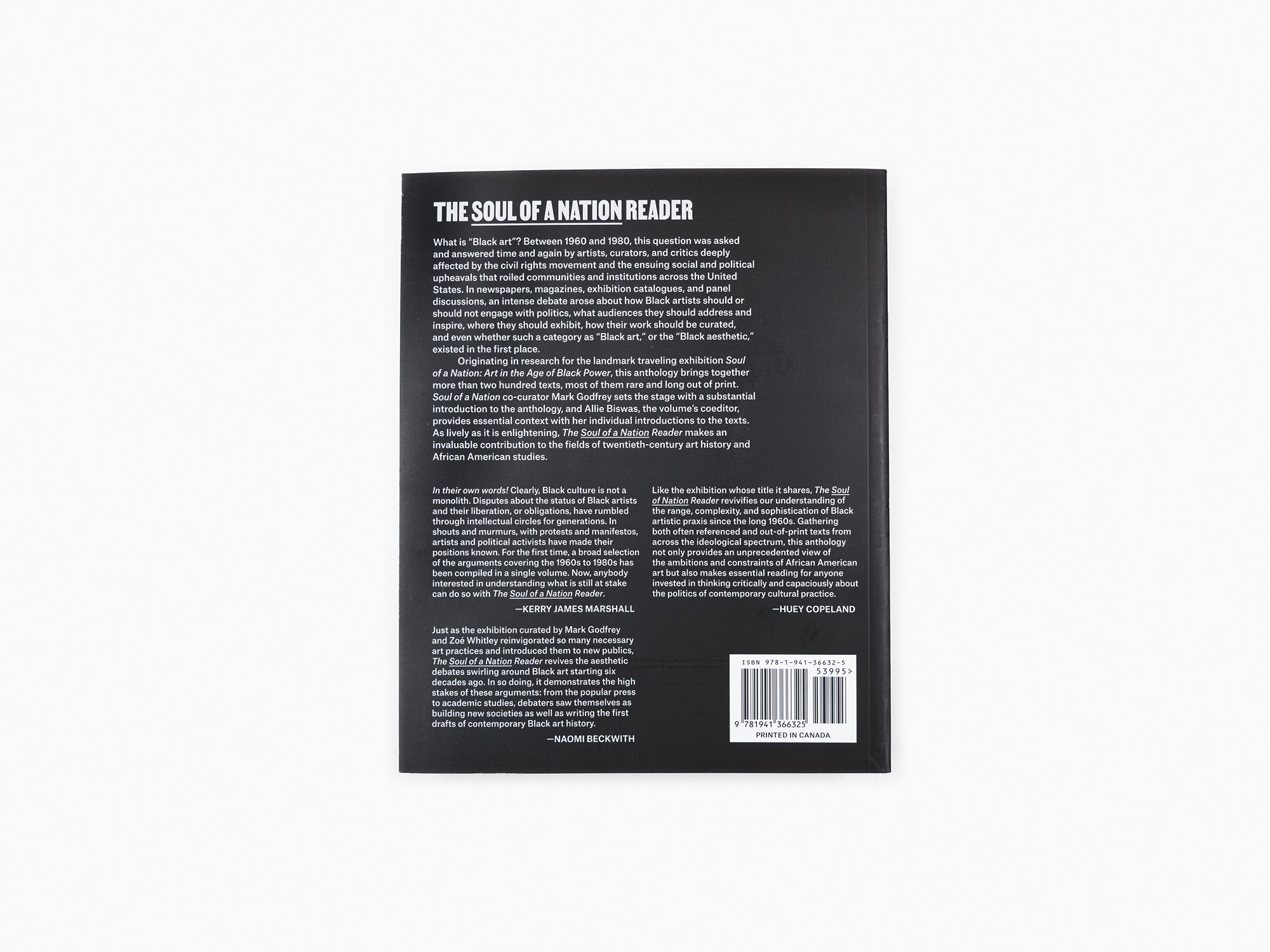 Le lecteur de l'âme d'une nation. Écrits par et sur les artistes noirs américains, 1960-1980
