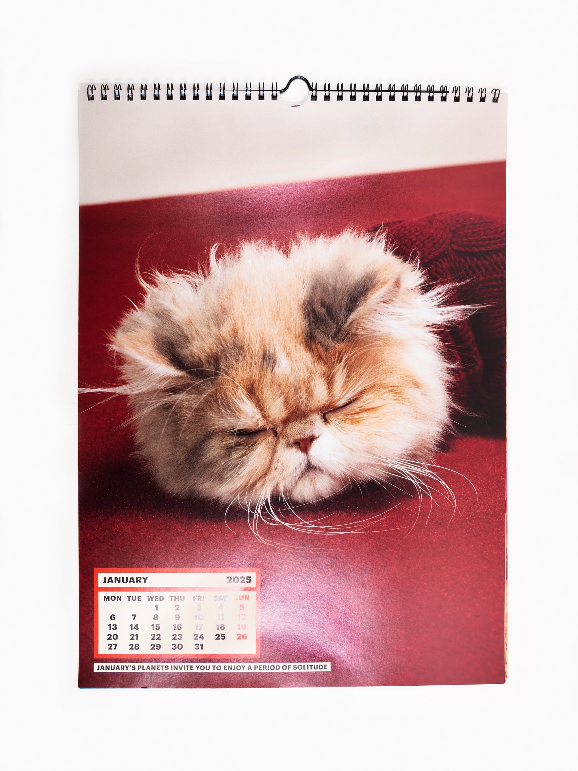 Toiletpaper - Calendrier 2025