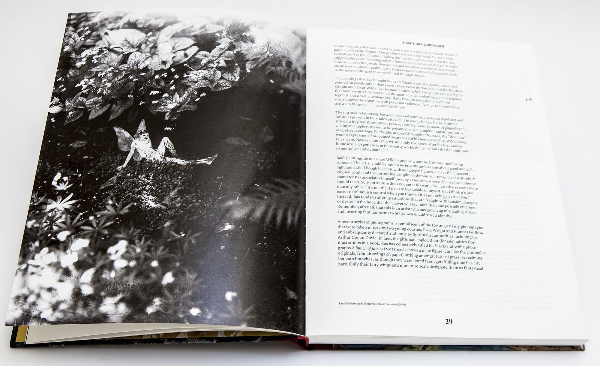 Hernan BAS - Catalogue Rizzoli