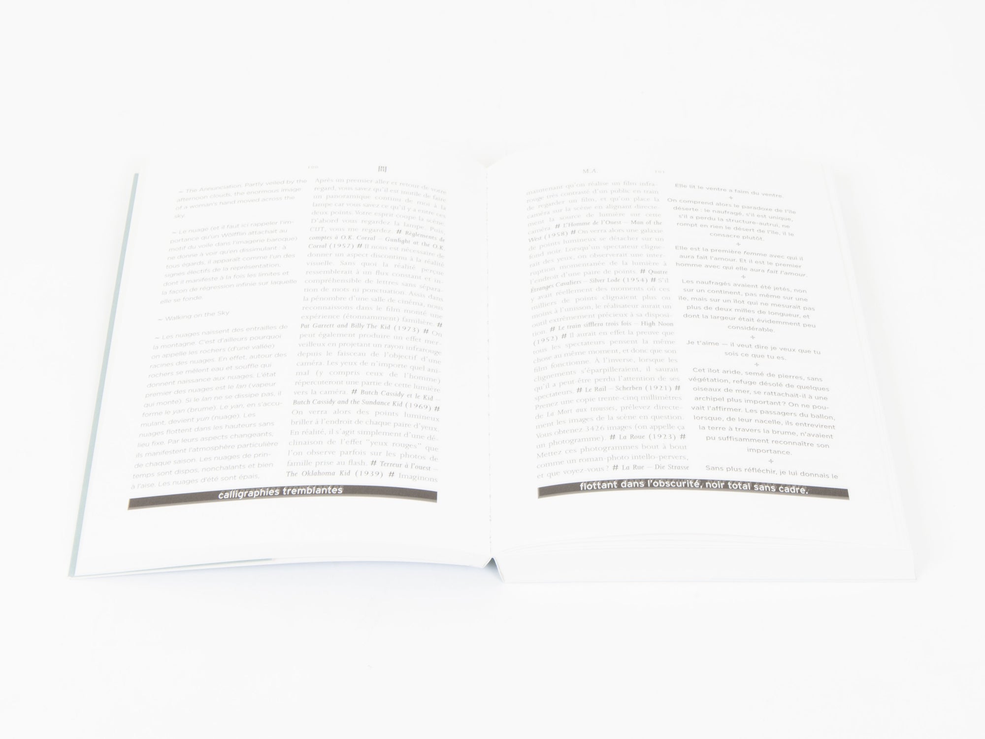 Dominique Pasqualini - Emma Fructidor