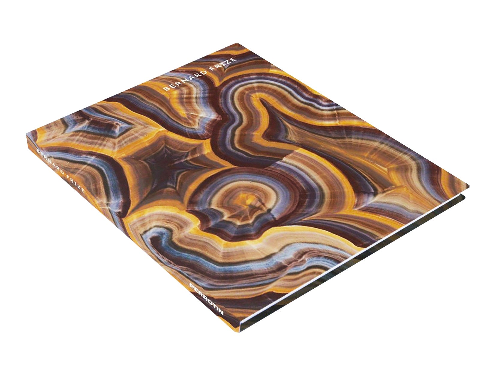 Bernard FRIZE - Catalogue GEP 2014