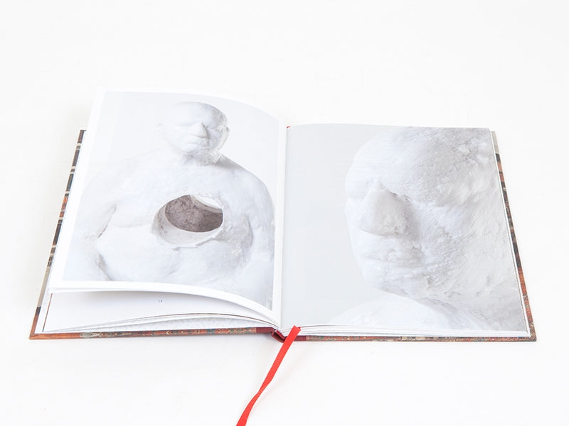 Bharti Kher - This Breathing House