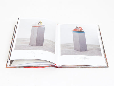 Bharti Kher - This Breathing House