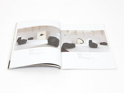 Lee Bae - Carte blanche à Lee Bae (Musée Guimet)