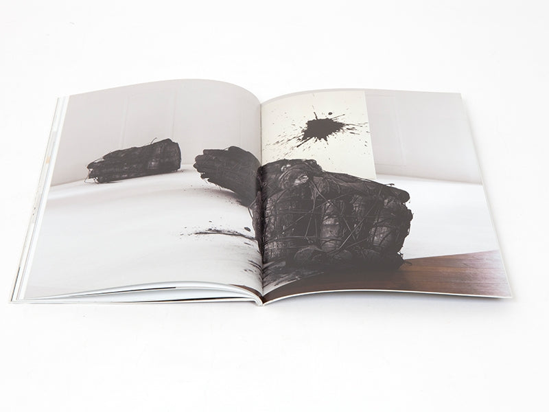 Lee Bae - Carte blanche à Lee Bae (Musée Guimet)