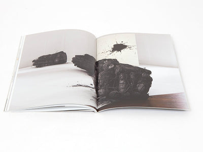 Lee Bae - Carte blanche à Lee Bae (Musée Guimet)