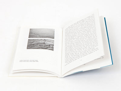 Jacques Damez - Hans Hartung photographe