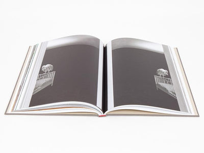 Elmgreen & Dragset - Die Zugezogenen