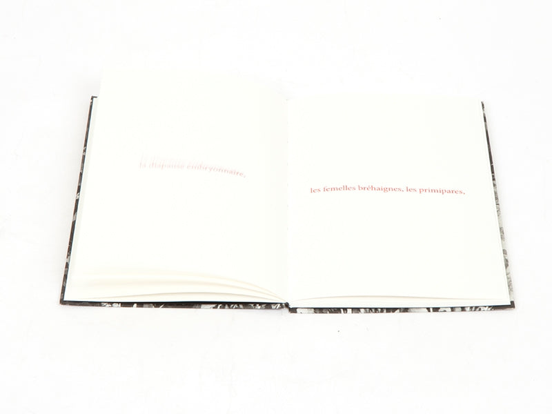 Sophie Calle - Les fanfares de circonstance