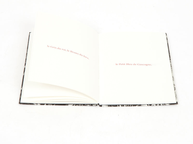 Sophie Calle - Les fanfares de circonstance