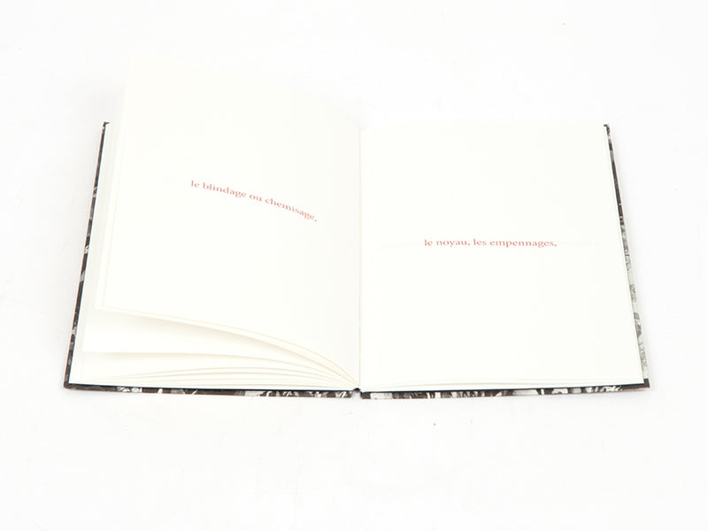 Sophie Calle - Les fanfares de circonstance