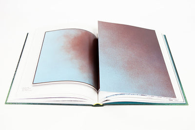 Hans Hartung - A constant storm (cat GEP)