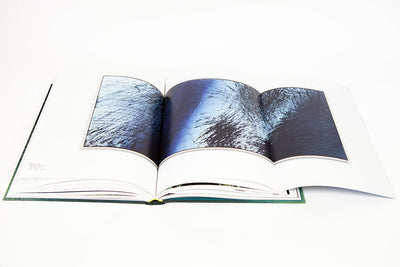 Hans Hartung - A constant storm (cat GEP)